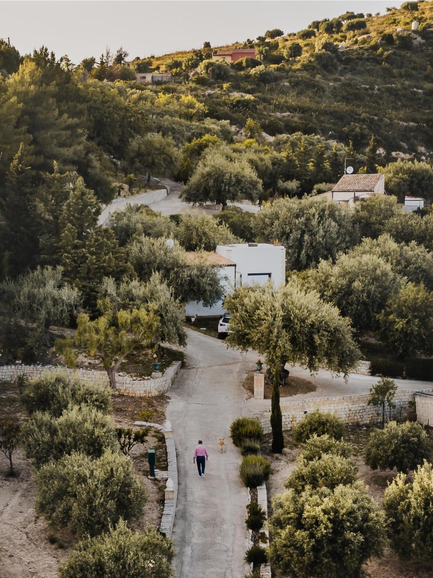 Tenuta Olive Alive Noto Rom bilde