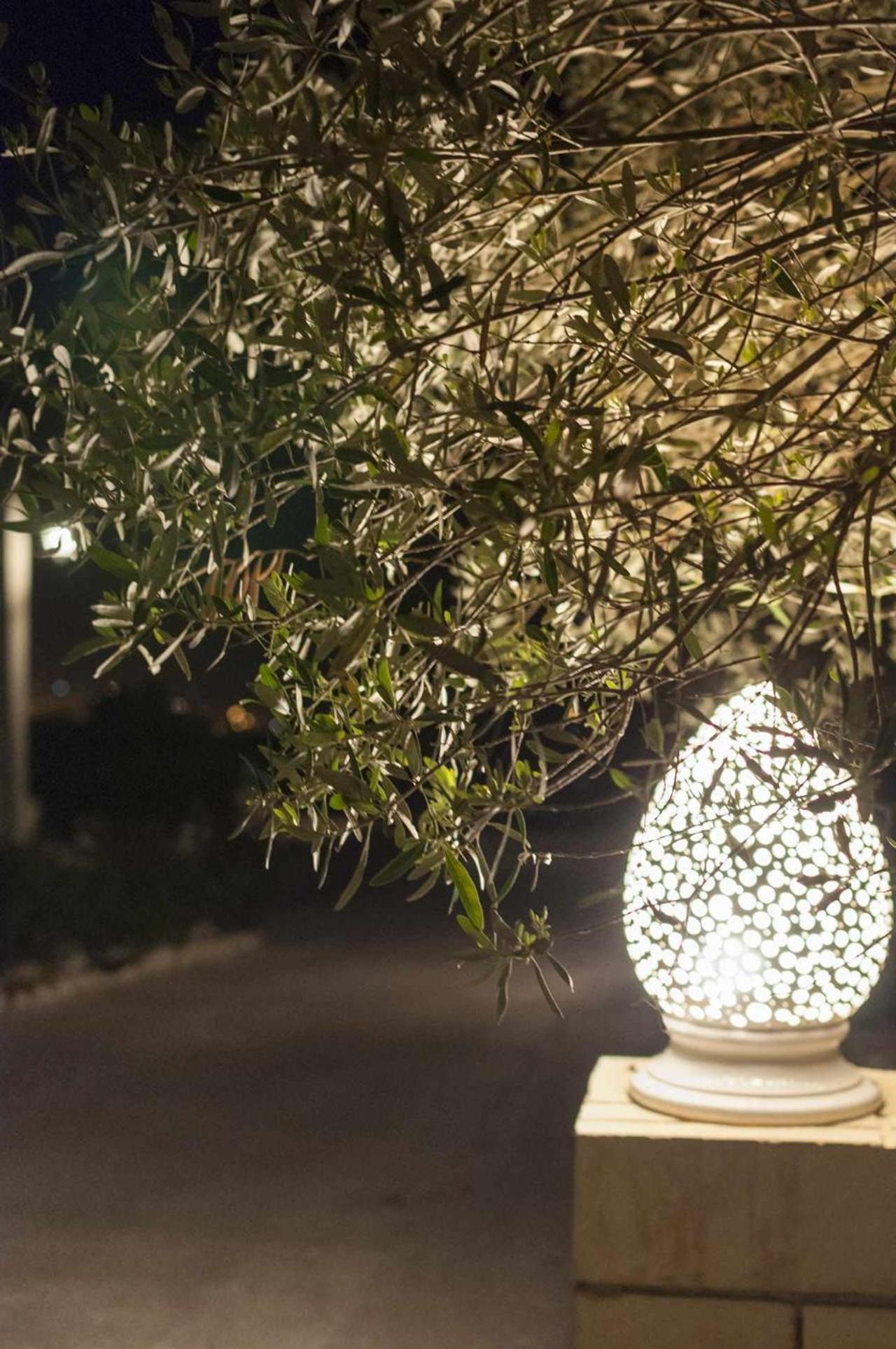 Tenuta Olive Alive Noto Eksteriør bilde